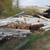 Large PVC 8" & 10" pipe 30ft lengths 3 thumbnail