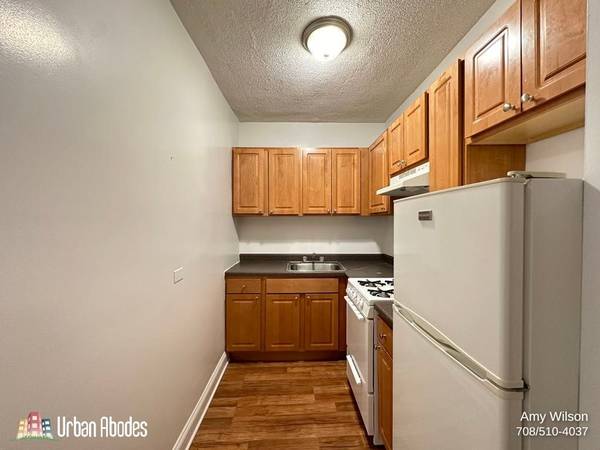 $1,195 / 328ft2 - Awesome Studio, 1 Bath in Humboldt Park, Available: 10/1/2025 (Humboldt Park)63918294957571124