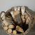 Birch basket 2 thumbnail