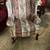 Queen Anne wing back chair 1 thumbnail