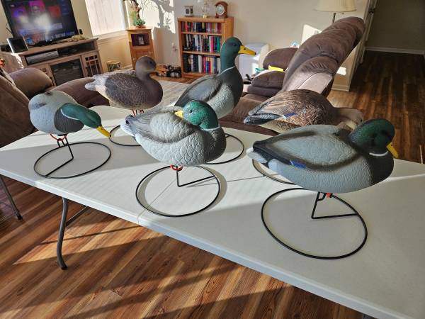 Hardcore Standing Mallard Decoys 1