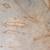 Kat and Drew Live Edge Wood 15 thumbnail