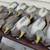Duck Decoys (One Dozen) 4 thumbnail