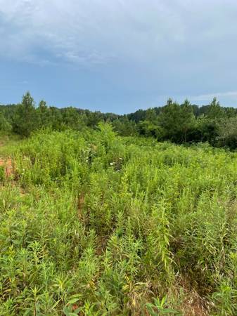 $106,500 Scenic 5-acre lot in a newly developed rural subdivision in East TN (Vonore)63815695004291123