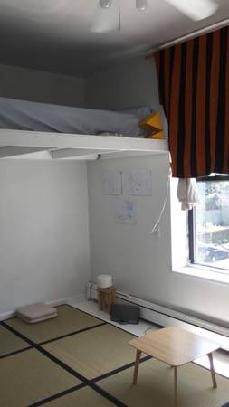 $1,500 / 3br - Williamsburg bridge  /south 5 (Brooklyn)63816703271041122