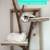 Custom Local handcrafted Natural tree branch Cat trees / condos and more! 11 thumbnail