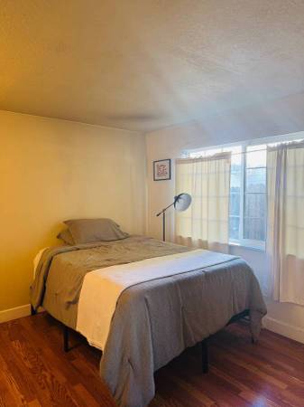 Manchester 600 1br Bright Modern Room - Room for Rent
