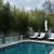 1/2off WHOLESALE BAMBOO PLANTS 15' INSTANT PRIVACY FENCE WINDBREAK ZEN 5 thumbnail