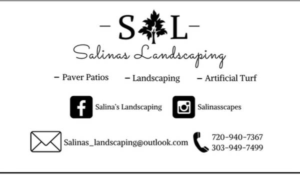 Sprinklers Blowout! Leaves cleaning 1