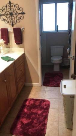 $1,200 / 5br - Sunny Bedroom Suite Available (Concord)63826176757763122