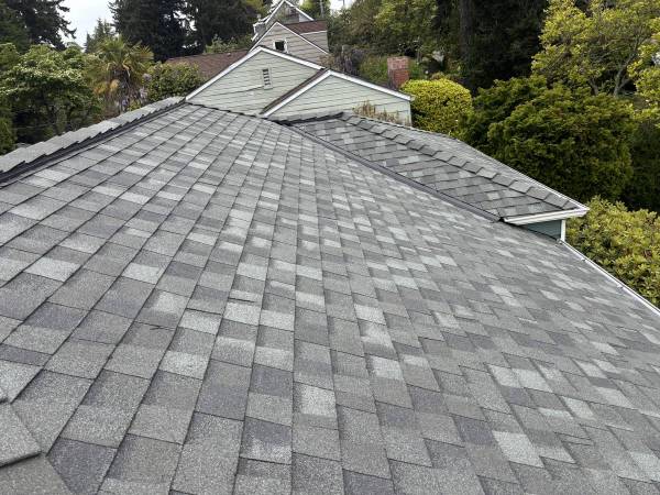 🚨 Roof Leak? Skylight Dripping? Chimney Damaged? Fast Surrey Repairs! 1