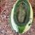 1993 Vintage Watermelon Dish Good Condition 5 thumbnail