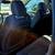 2011 CHEVROLET TRAVERSE LS 5 thumbnail