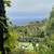 4 Bd / 3.5 Ba - Luxury Living in Laguna Beach 22 thumbnail