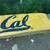 2 ft x 6 ft XL Cal logo banner on yellow vinyl. 8 thumbnail