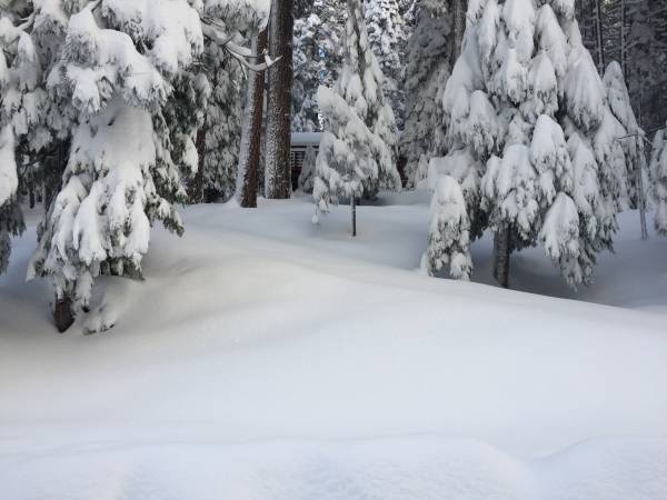 Ski Rental 1