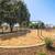 BBQ, Located in West Sacramento, 2/BD 2/BA 6 thumbnail