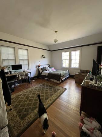 $1,551 / 5br - 195ft2 - Large Bedroom in Berkeley Hills – $1550 + utilities (Pet-Friendly, Ava (berkeley north / hills)63850428488193123