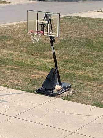 Basketball net 1