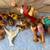Vintage Holland Mold Hand Painted 20 Piece Nativity Set Rare 8 thumbnail