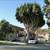 2449 Via Campesina-Apartment #2455 3 thumbnail