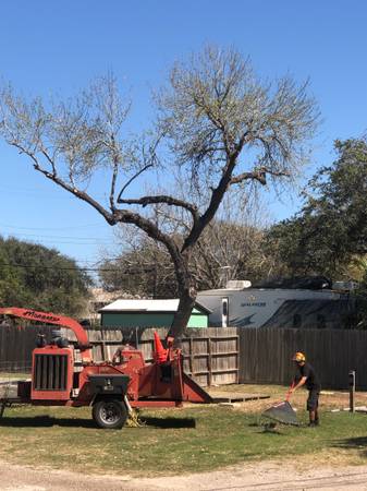 Rockport Area Tree Experts 1