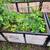 Metal frame raised garden beds 14 thumbnail