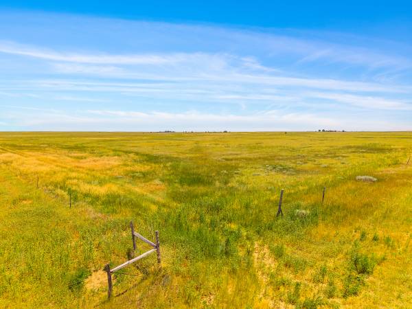 $69,900 / 1742400ft2 - Seller Financed 40 Acre Tract in Rush, Colorado (Rush)63687172230019120