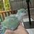 Baby green Quakers 12 thumbnail