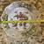 Schumann Bavaria Reticulated Porcelain Floral Wall Plate 6 thumbnail
