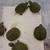 Baby turtle 4 thumbnail