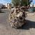 Large quartz boulder - Rye Patch Mining District NV 1 thumbnail