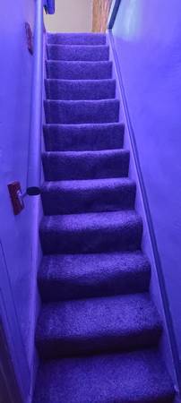 $650 / 3br - 1200ft2 - Mature, responsible person to rent room in home (Wilmington)64046036911490120