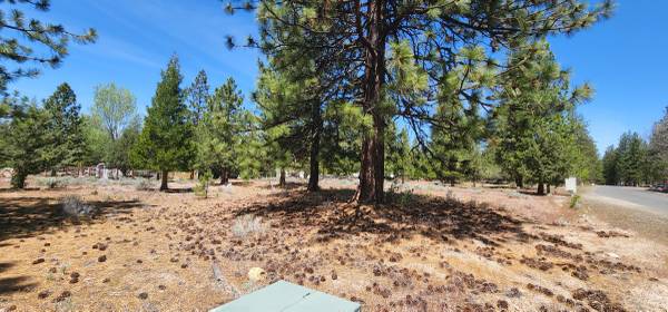 $8,000 / 10000ft2 - Quarter acre lot on Fisher in Lake Shastina (Lake Shastina)63678184678019124