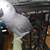 African  Gray 3 thumbnail