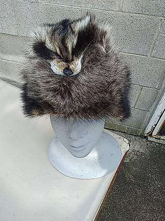 NEW Raccoon fur hat 1