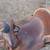 Really nice roping saddles 12 thumbnail