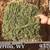 Online, Video, Hay Auctions every Wednesday 3 thumbnail