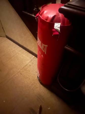 Free punching bag 1