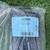 Fruit Tree Bird Netting 15’ x 100’ 1 thumbnail
