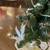 3 Elegant Tabletop Christmas Tree Decor Pieces 21 thumbnail
