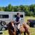 Flynn - 12yo Quarter Horse Gelding 5 thumbnail