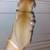 Chihuahua puppys 1 thumbnail