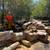 **TREE TRIMMING **TREE REMOVAL*TREE SERVICE*ARBORIST*STUMP GRINDING 8 thumbnail