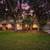 Over half an acre in Umatilla, Single Family 3/2 1 thumbnail
