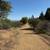 35 Acres Redwood Retreat Rd, Dwellings, Pads, Water, Views, WOW 2 thumbnail
