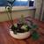 Downsizing - Houseplants for sale 9 thumbnail