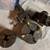 Lathe 5 thumbnail