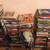 1200 rare historic plus baseball transit New York books 13 thumbnail