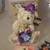 Hershey’s Collectibles – Bears, 4th of July, Misc 1 or 2 3 thumbnail
